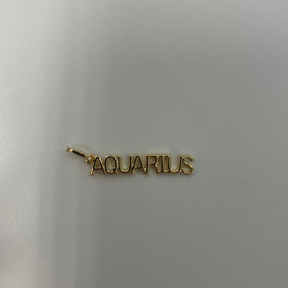 Zodiac Charms